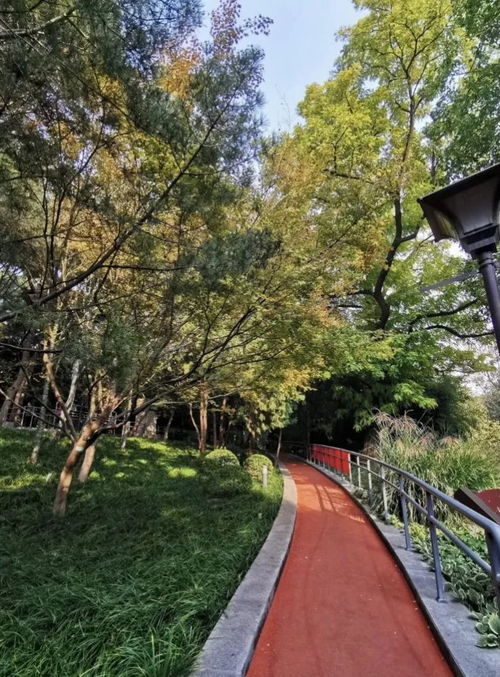 北京市园林绿化局提升精细化服务营造适老游园环境